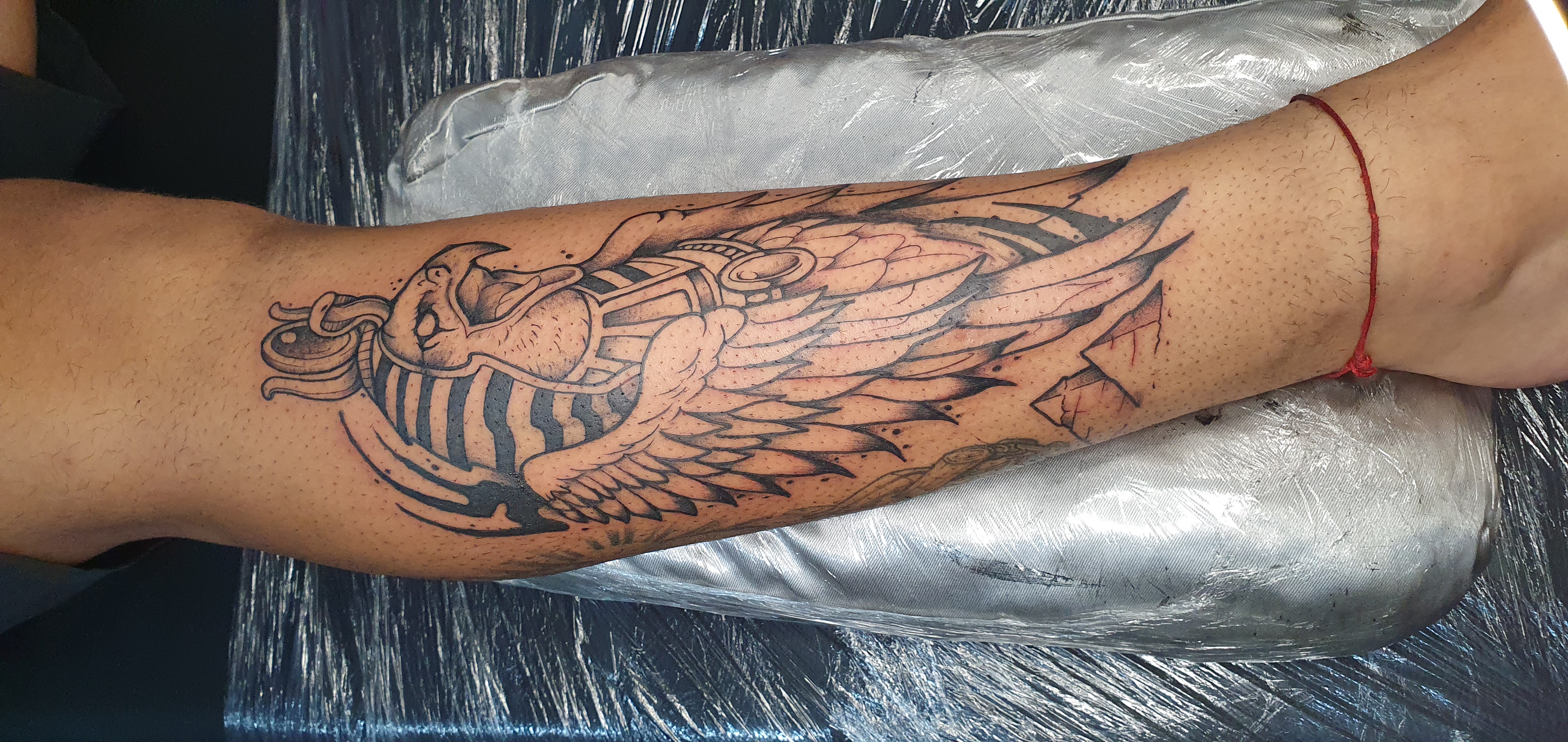 Tatuagem de ave egípcia